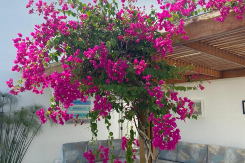 4 Terraza 1er. piso 1